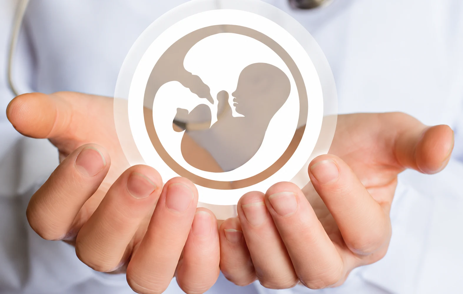 IVF treatment specialist holding embryo development and fertility care concept icon