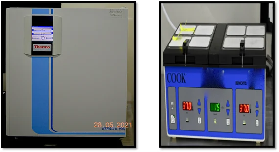 Advanced laboratory incubator and benchtop culture system used for Embryo Culture in IVF to support healthy embryo development before embryo transfer.